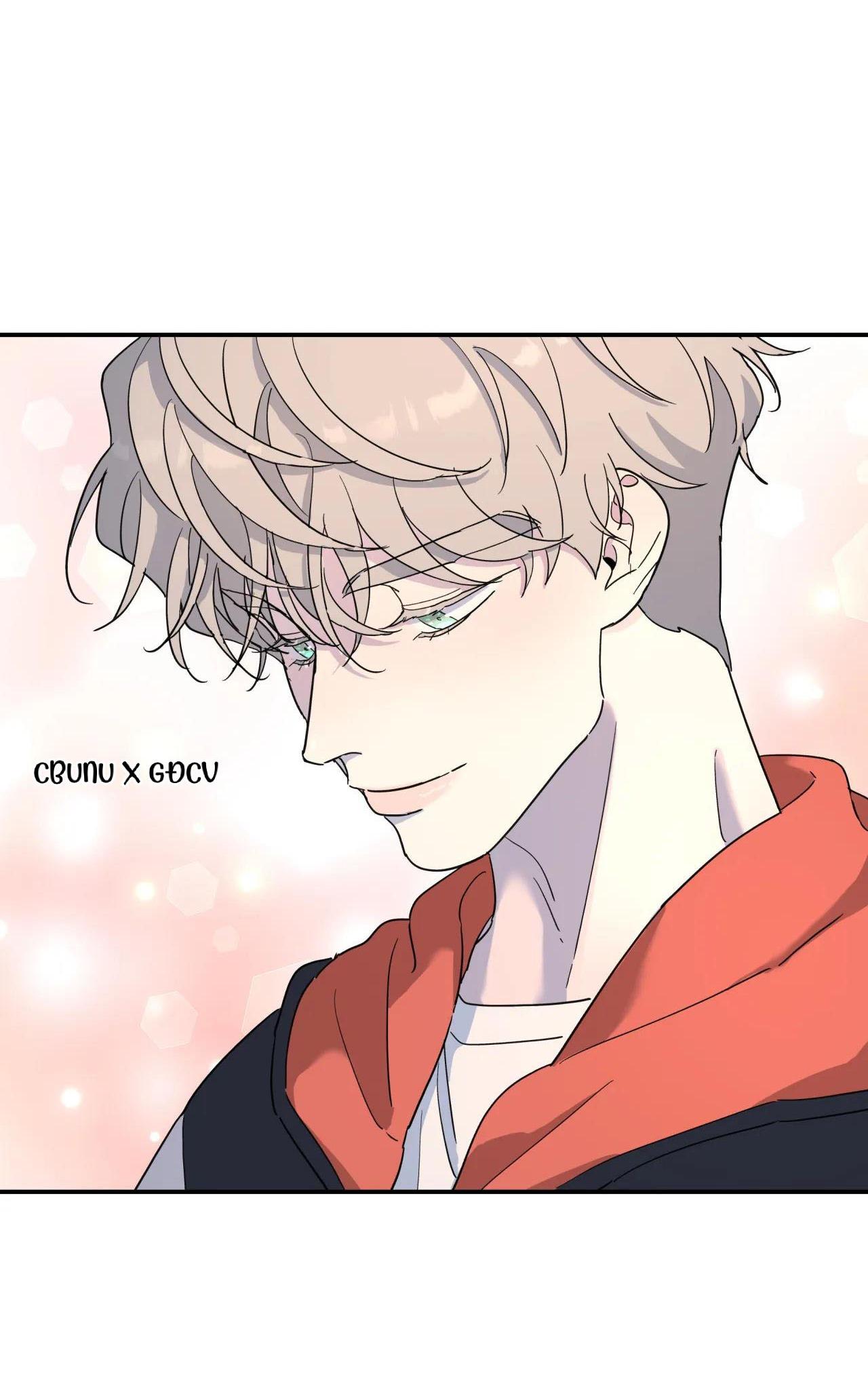 Đọc truyện (CBunu) Cây Không Có Rễ - Chapter 33