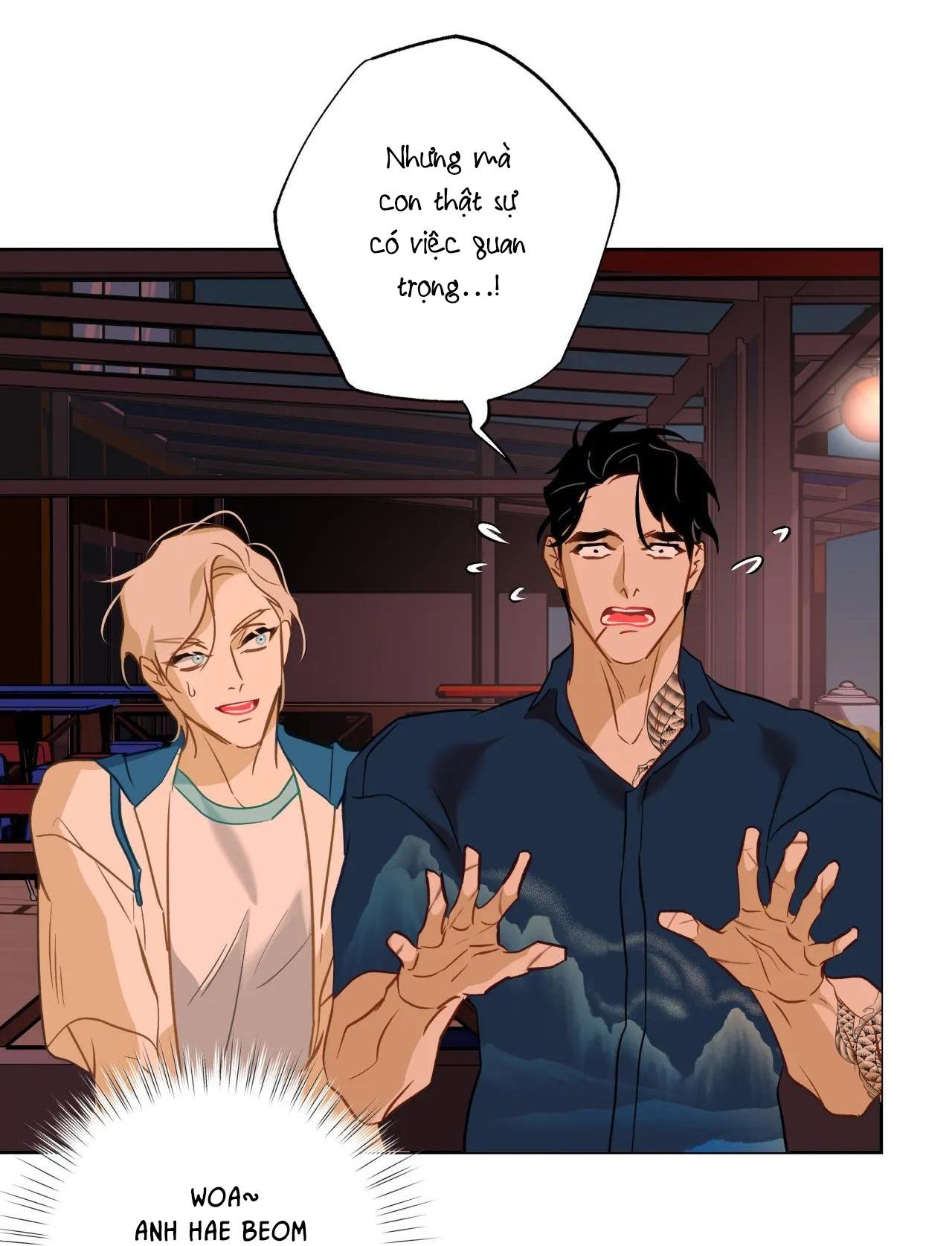 Đọc truyện Tình đầu của chủ quán gỏi cá là nhân ngư - Chapter 17