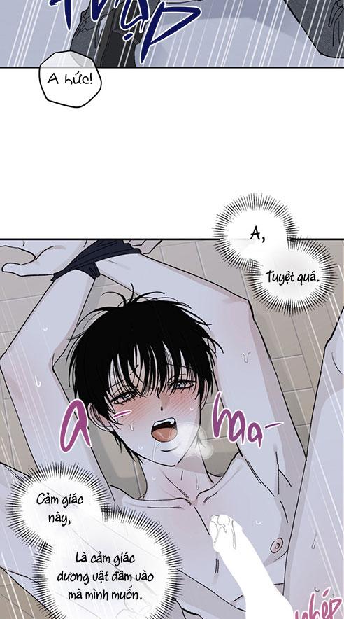 Đọc truyện DINH THỰ - Chapter 13