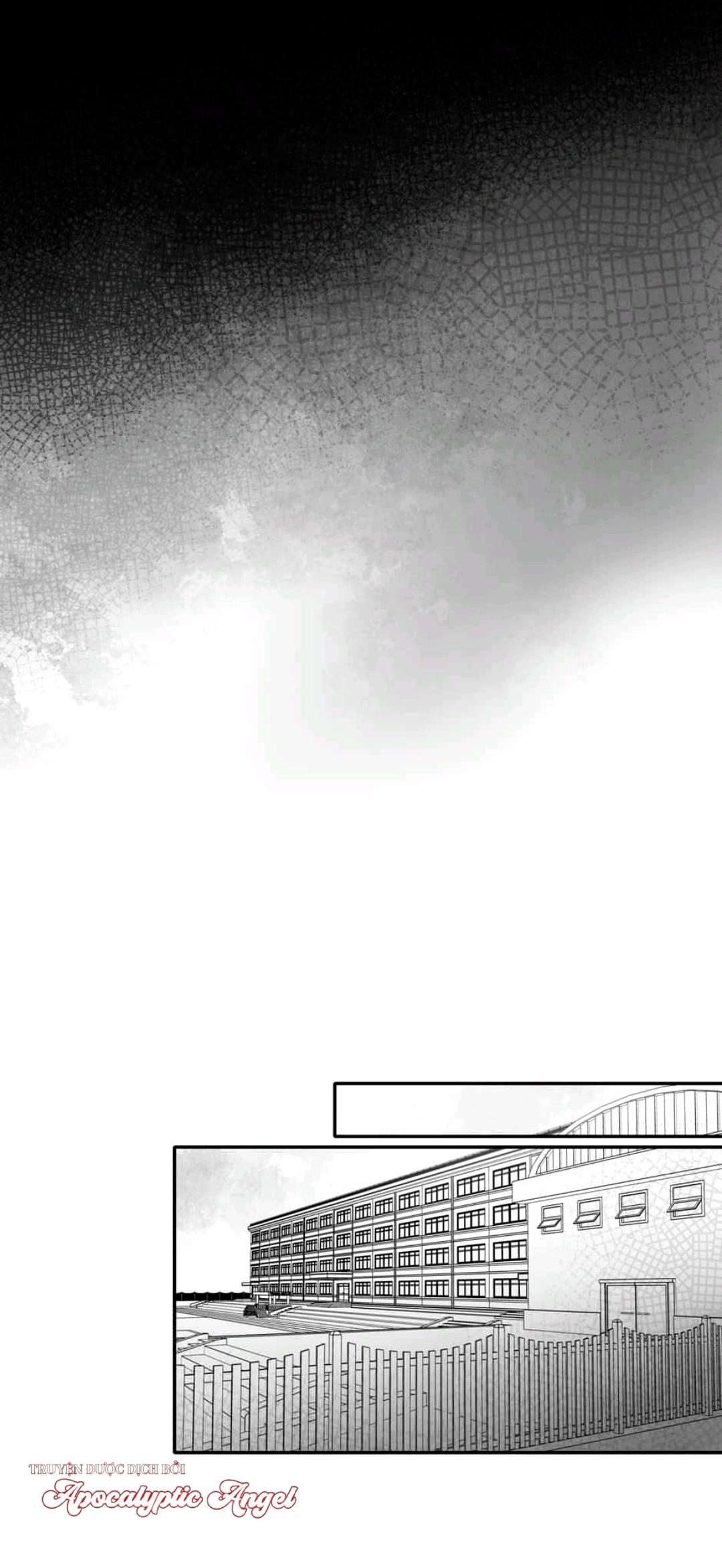 Đọc truyện Chúng Ta Đều Là Kẻ Ngốc - Chapter 5