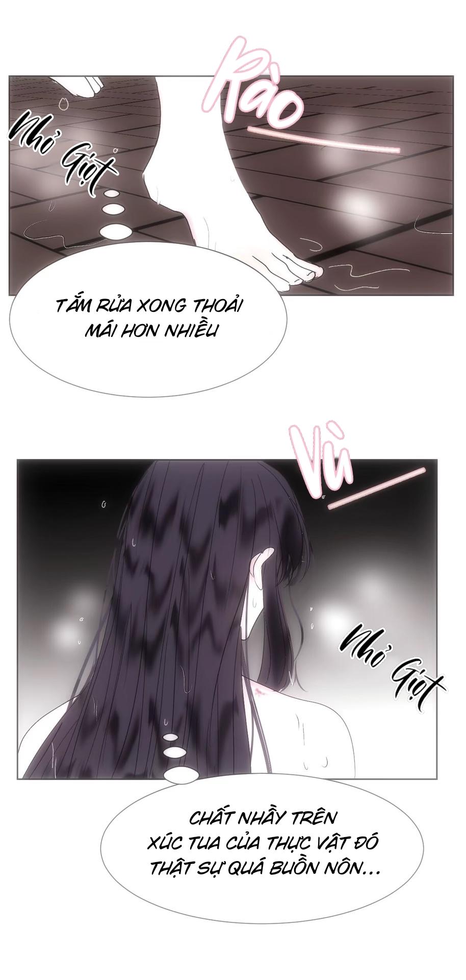 Đọc truyện Vài Câu Chuyện Với Sư Tôn Sau Khi Xuyên Sách - Chapter 14