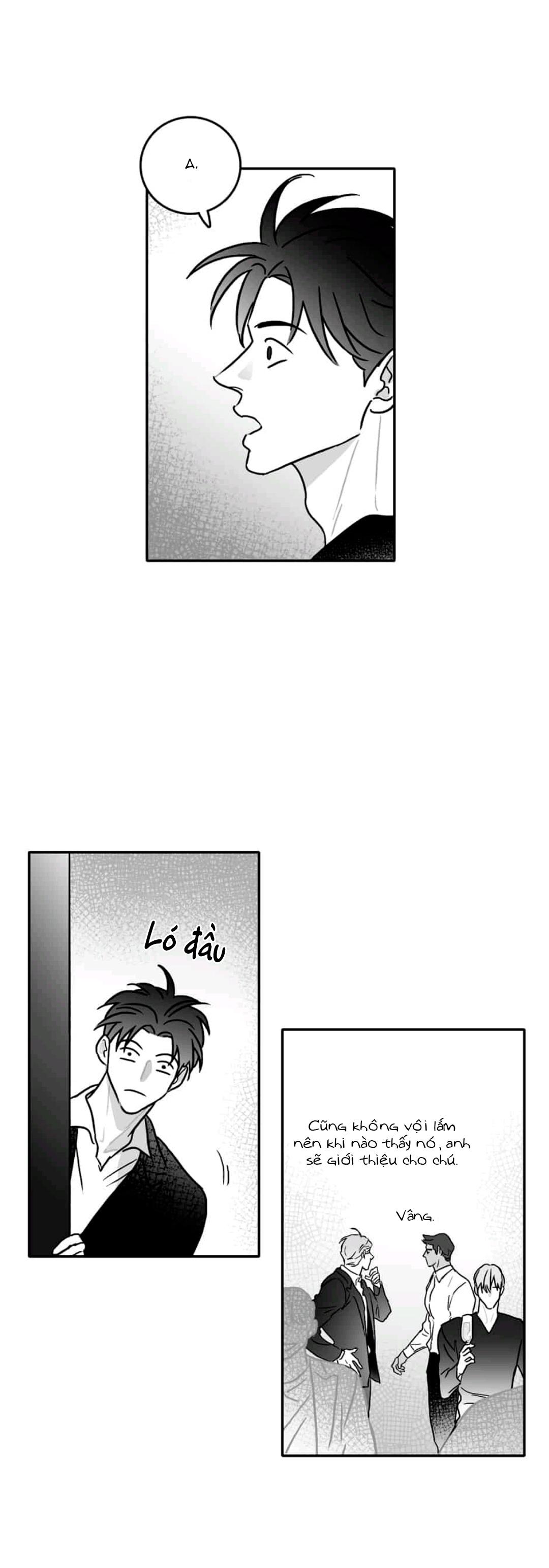 Đọc truyện Chúng Ta Đều Là Kẻ Ngốc - Chapter 11