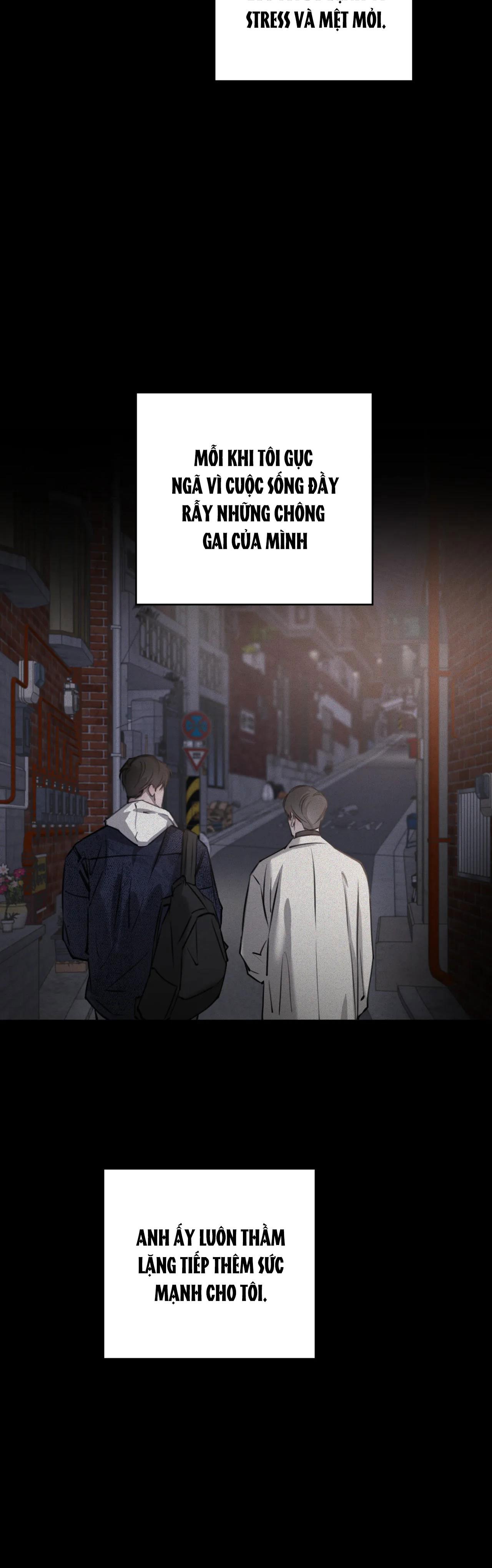 Đọc truyện GIỮA TÌNH CỜ VÀ ĐỊNH MỆNH - Chapter 17