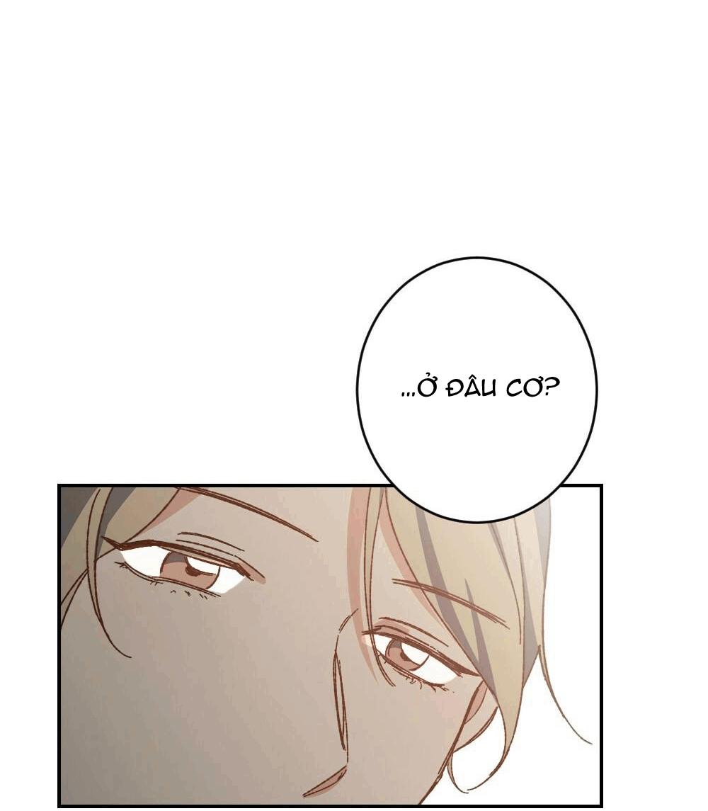 Đọc truyện TUYỂN TẬP NGỰC BỰ, CUNG KHỦ CỦA NHÀ KIM - Chapter 38