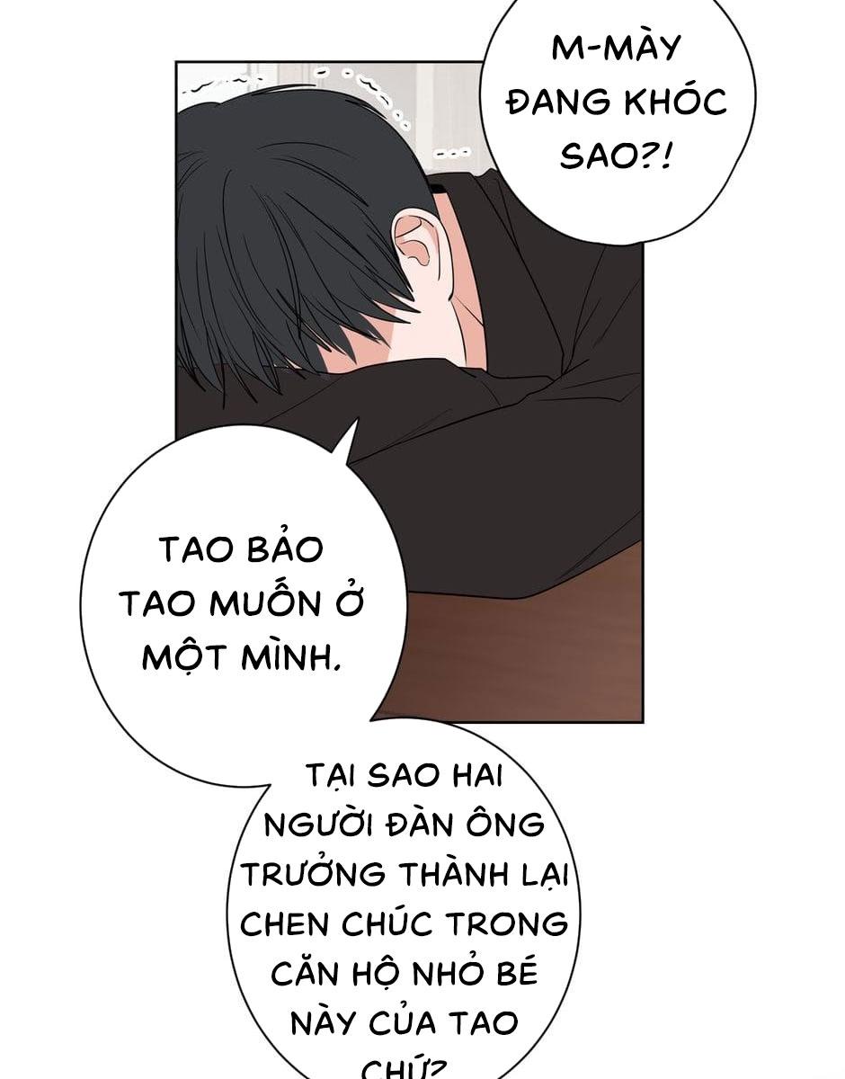 Đọc truyện Tiền Bối, Chúng Ta Cần Nói Chuyện - Chapter 17