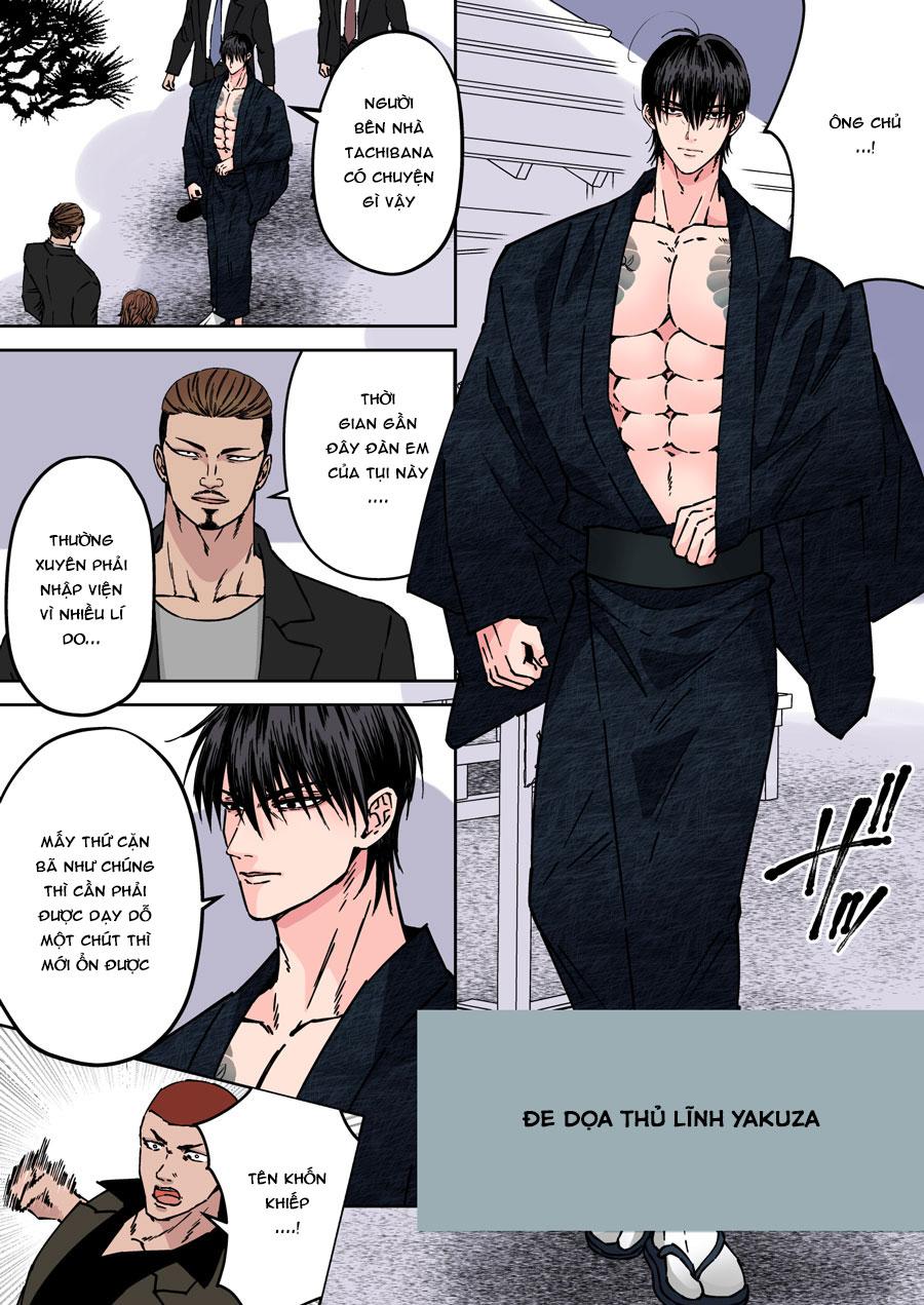 Đọc truyện Tổng hợp oneshot nhà Guess - Chapter 107