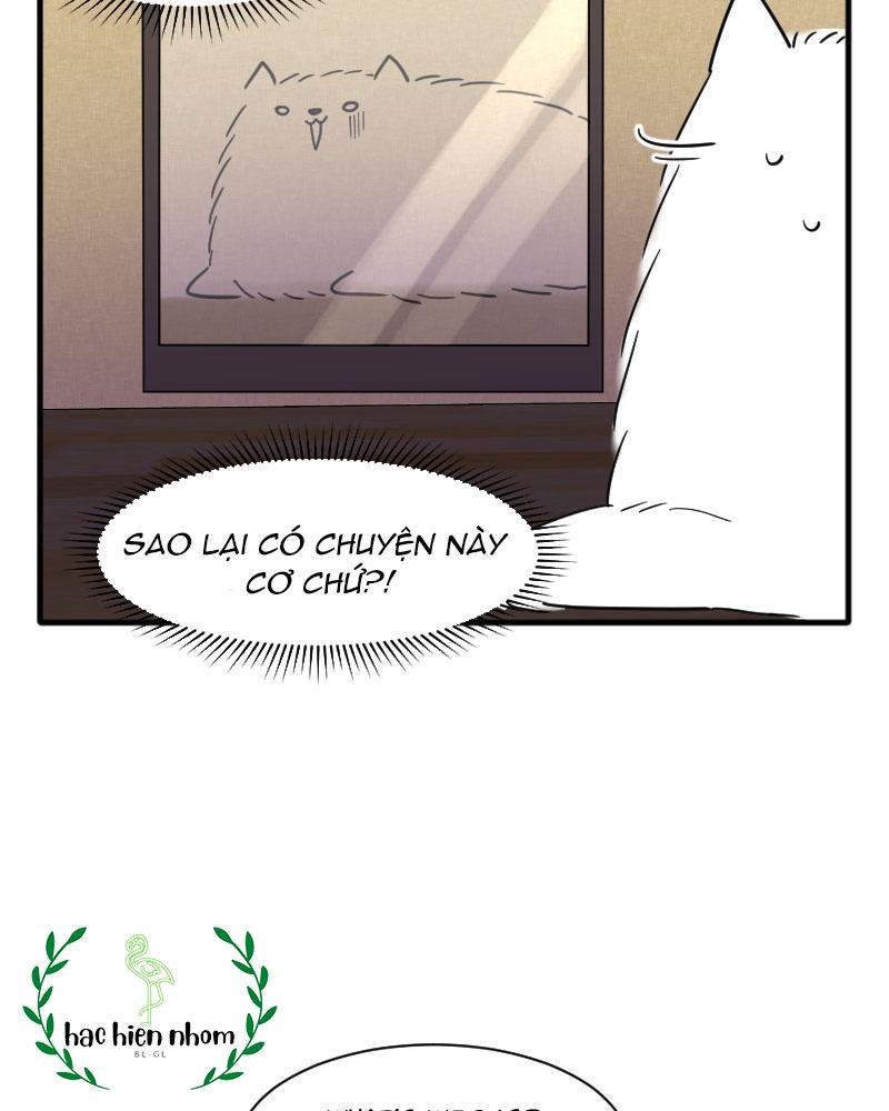Đọc truyện Truyện Ngôn Nhưng Không Ngôn Lắm - Chapter 15