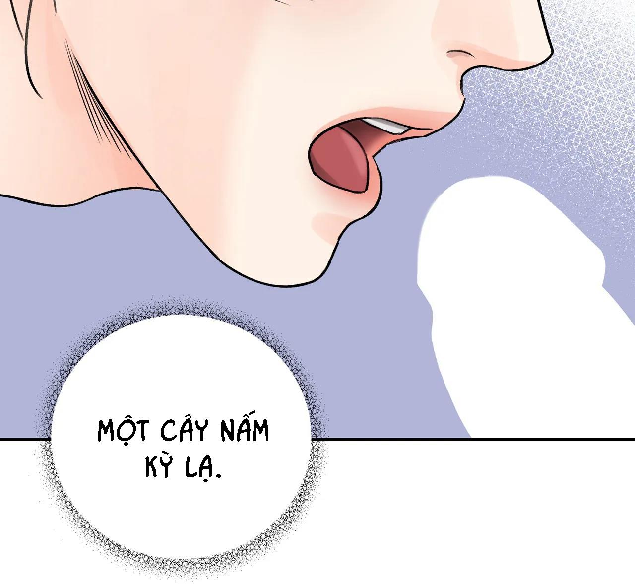 Đọc truyện KIẾM HOA - Chapter 28
