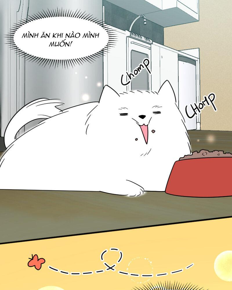 Đọc truyện Truyện Ngôn Nhưng Không Ngôn Lắm - Chapter 15