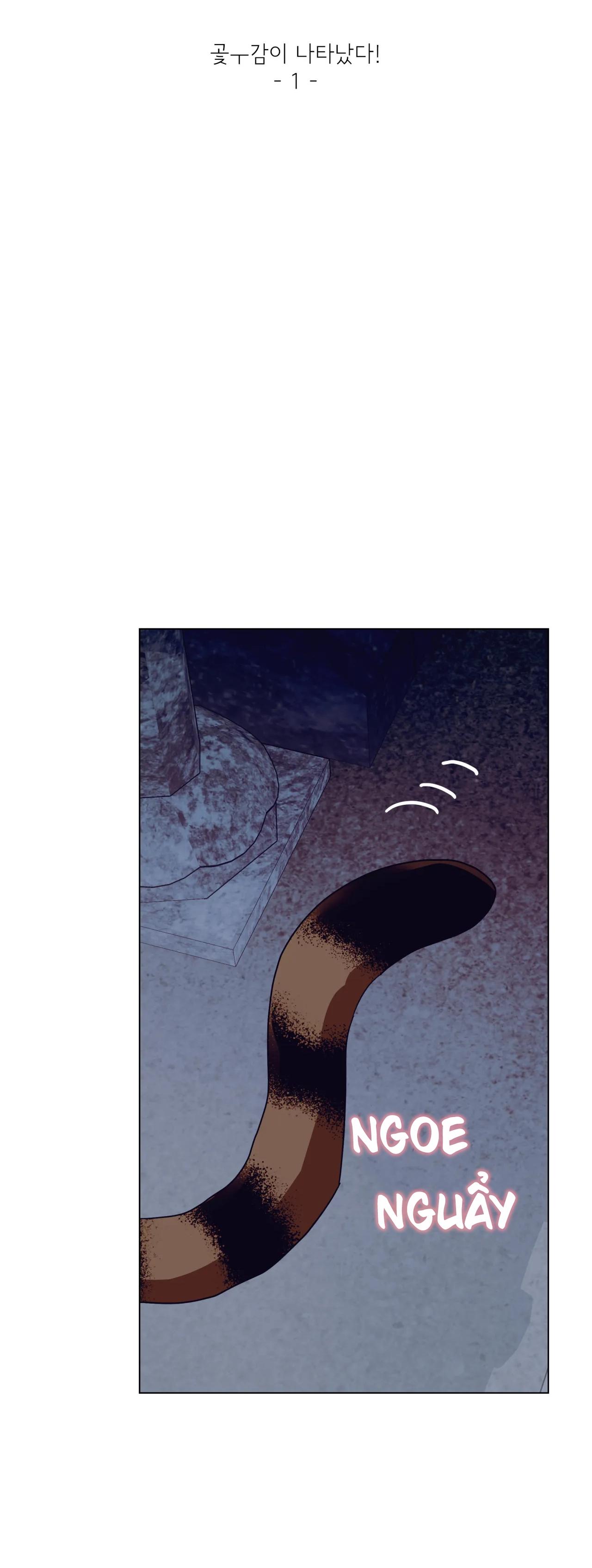 Đọc truyện Manhwa Chịch Vồn Chịch Vã - Chapter 19