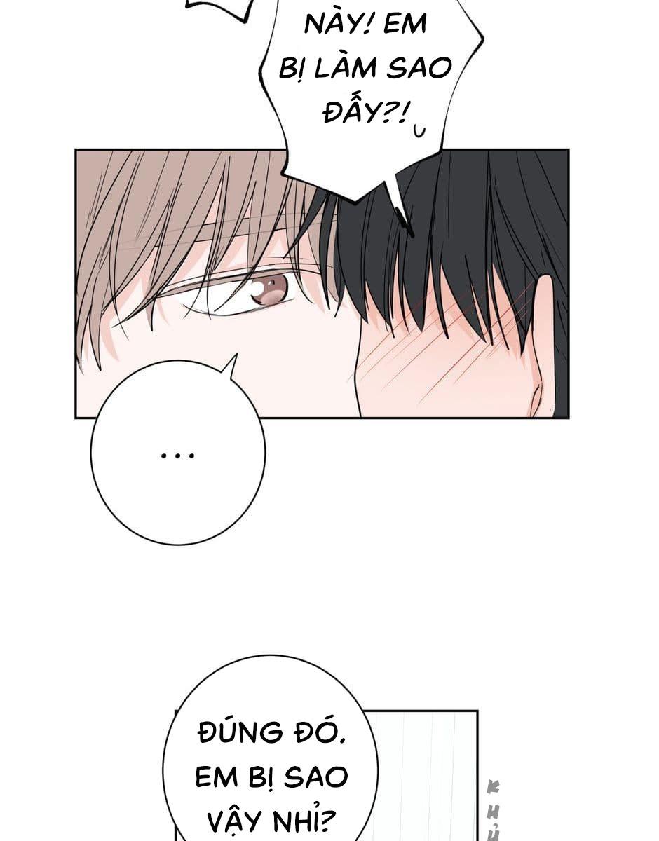 Đọc truyện Tiền Bối, Chúng Ta Cần Nói Chuyện - Chapter 23