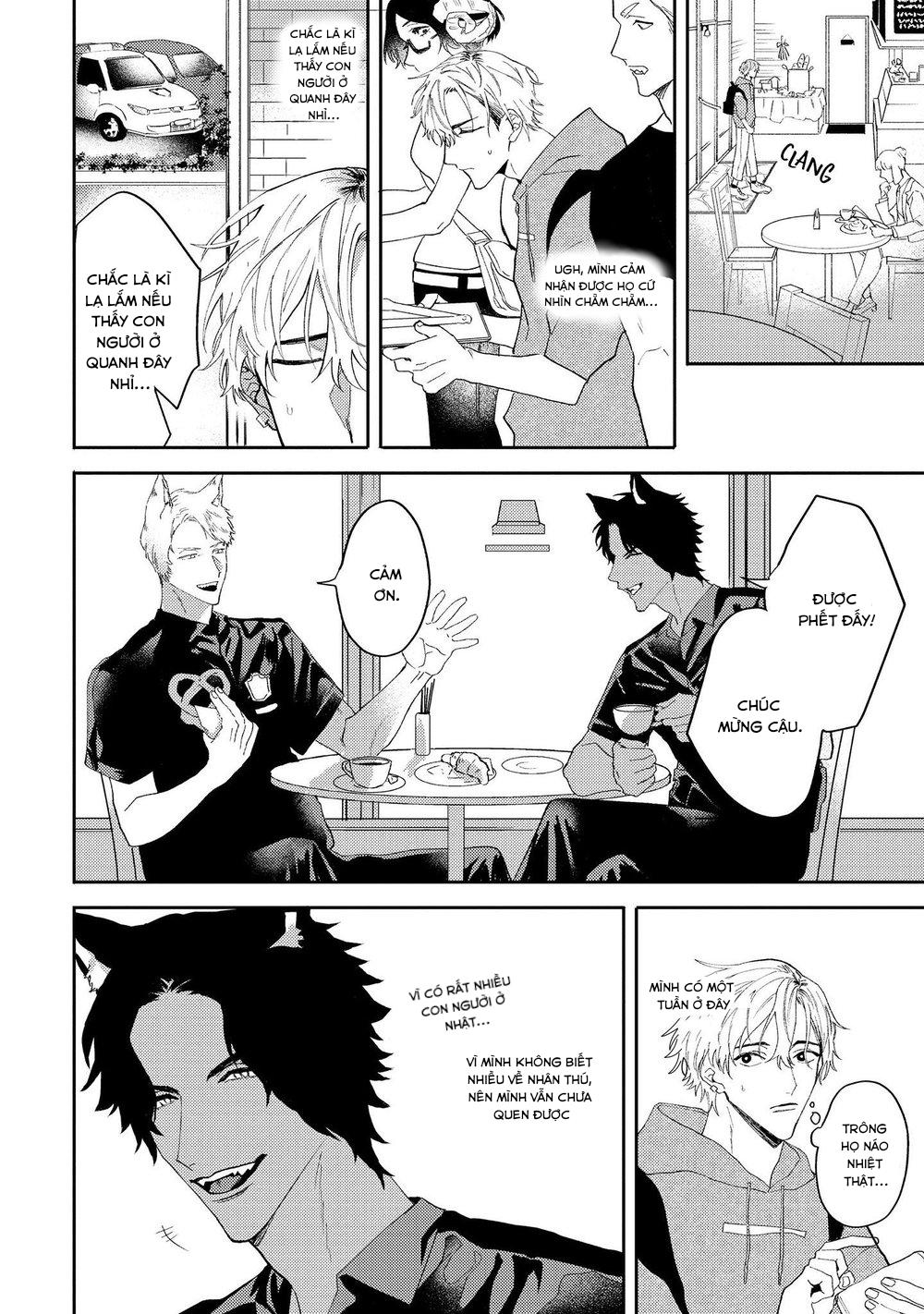 Đọc truyện Ookami no Bonitoo - Chapter 1