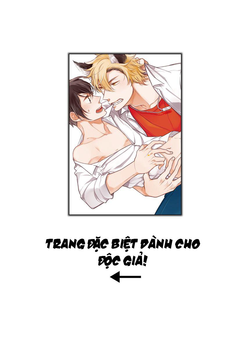 Đọc truyện Oogami Yêu Dấu Của Tôi! - Chapter 4