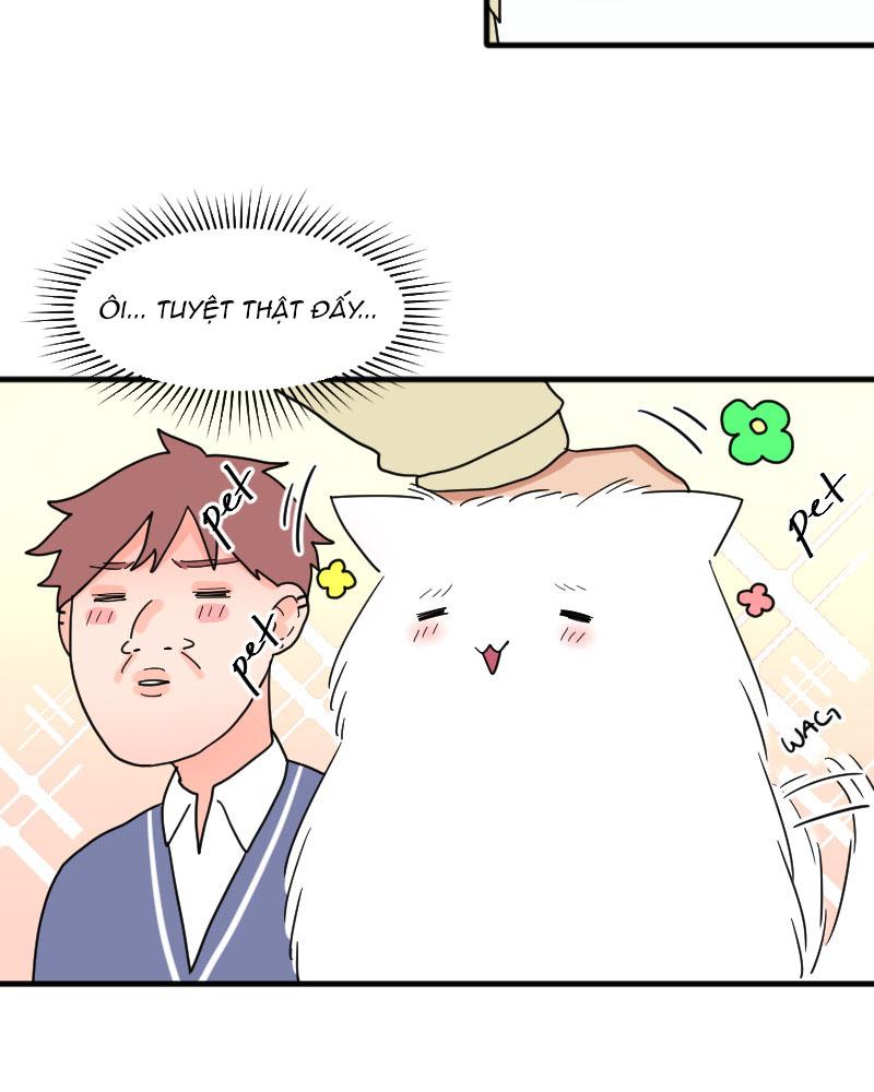 Đọc truyện Truyện Ngôn Nhưng Không Ngôn Lắm - Chapter 15
