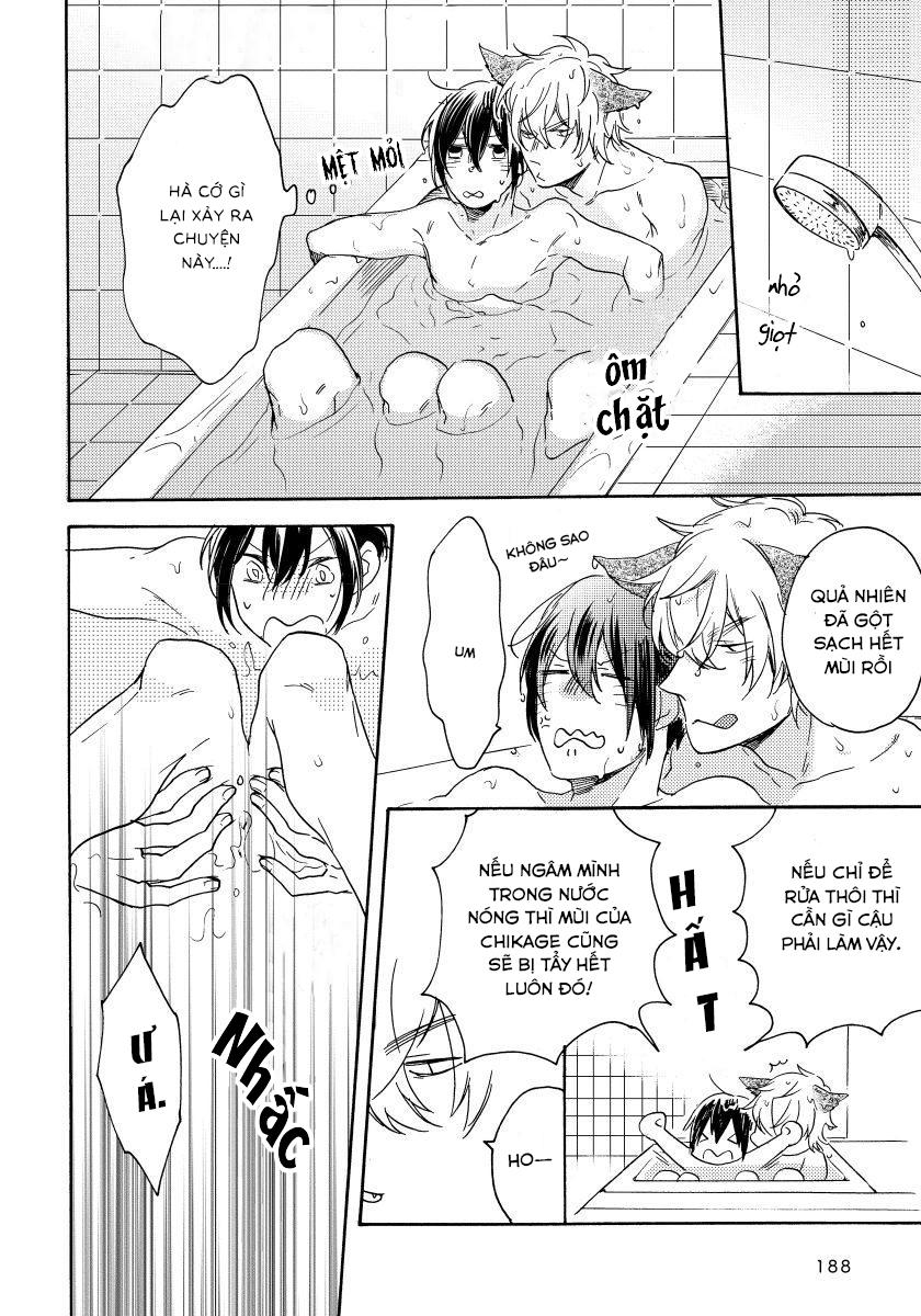 Đọc truyện Oogami Yêu Dấu Của Tôi! - Chapter 4