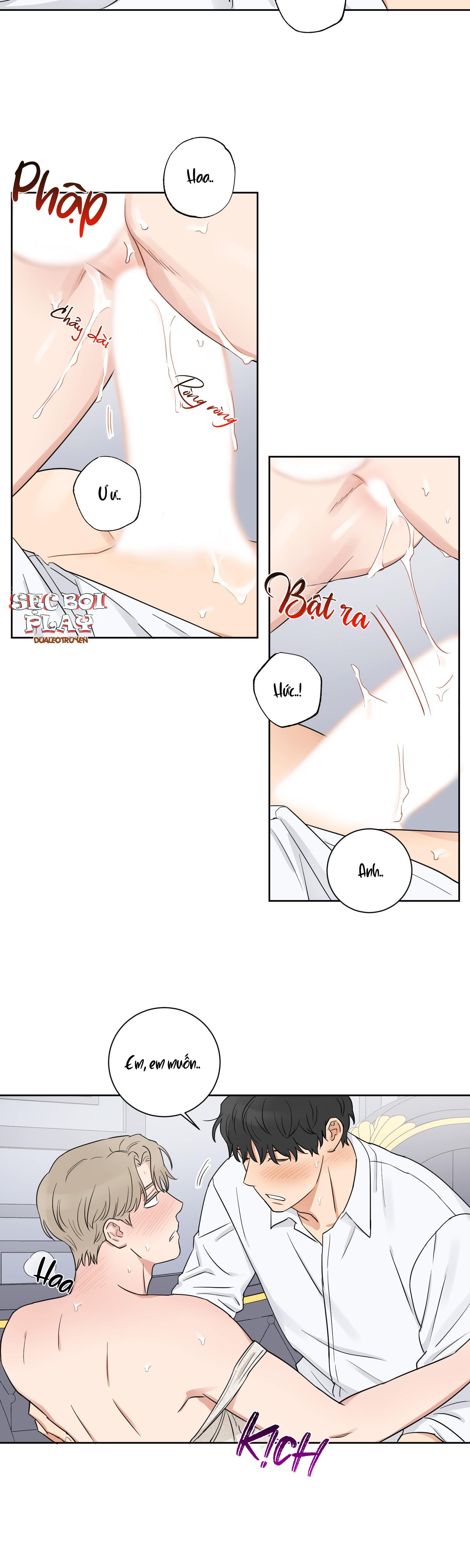 Đọc truyện LỰA CHỌN KẾT HÔN - Chapter 6