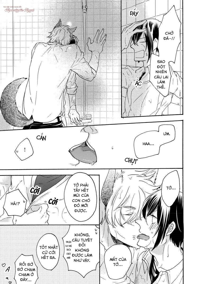 Đọc truyện Oogami Yêu Dấu Của Tôi! - Chapter 4
