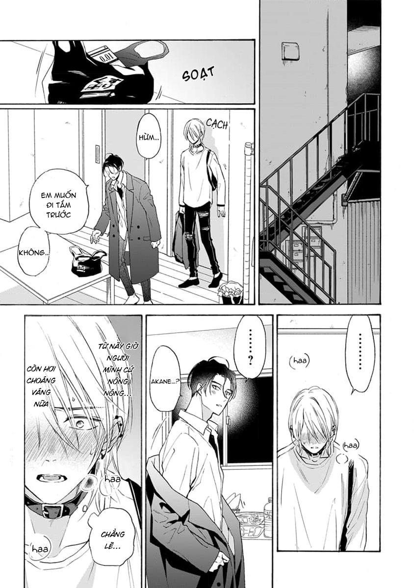 Đọc truyện Cắn Nát Viên Ruby Đỏ - Chapter 6
