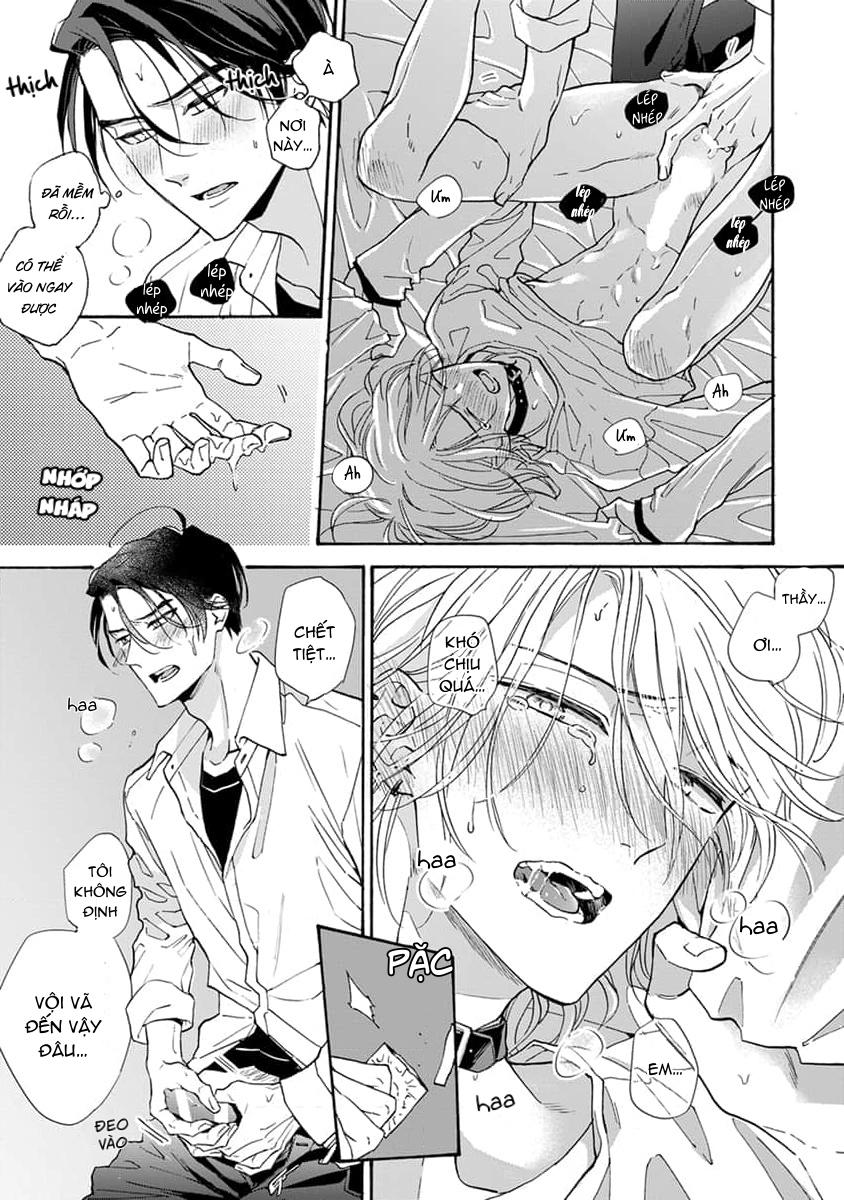 Đọc truyện Cắn Nát Viên Ruby Đỏ - Chapter 6
