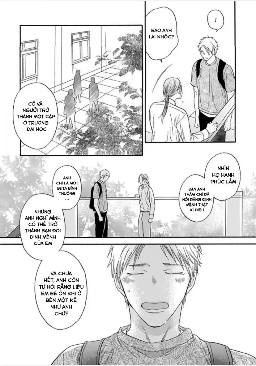 Đọc truyện Cho Dù Không Là Định Mệnh - Chapter 3