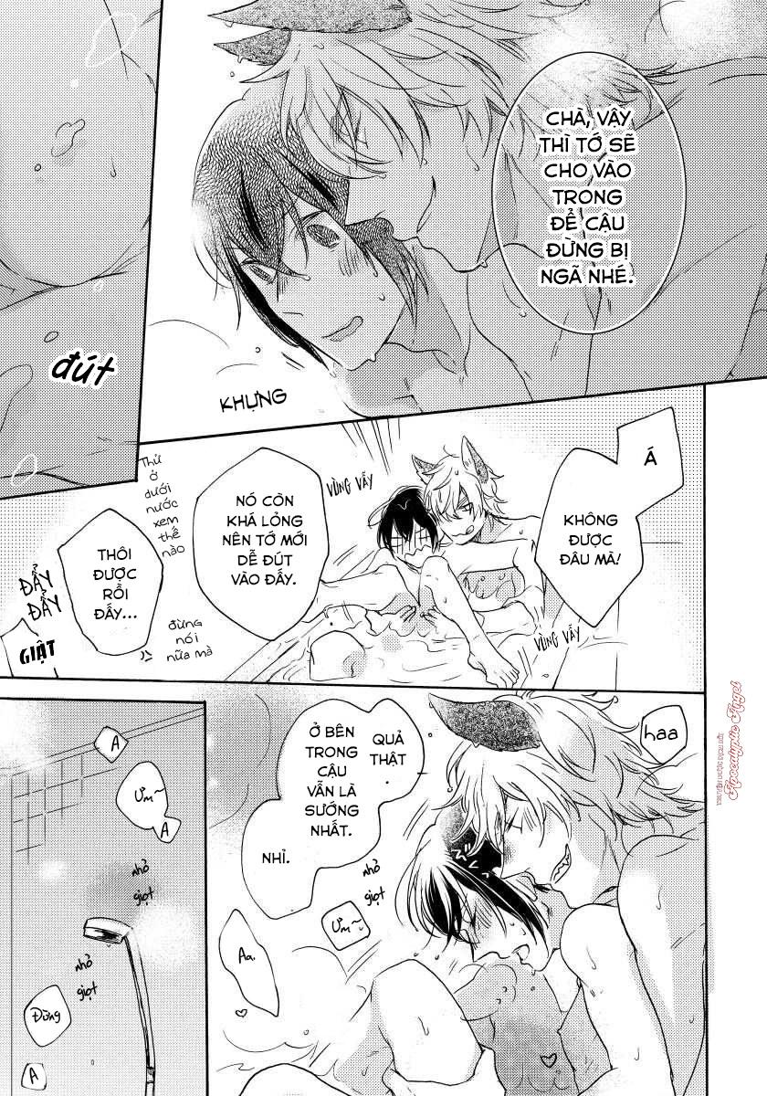 Đọc truyện Oogami Yêu Dấu Của Tôi! - Chapter 4