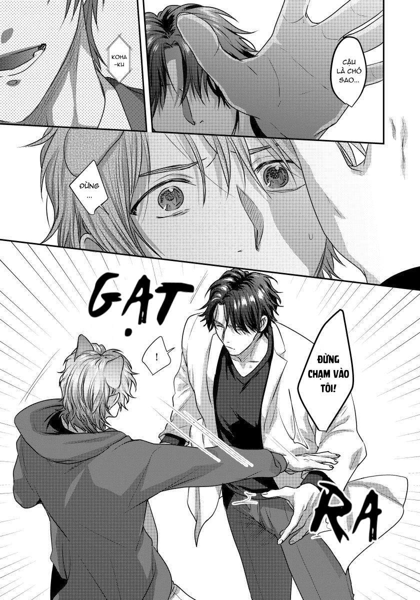 Đọc truyện Ecchi otetsudai inu no seichou kiroku - Chapter 1