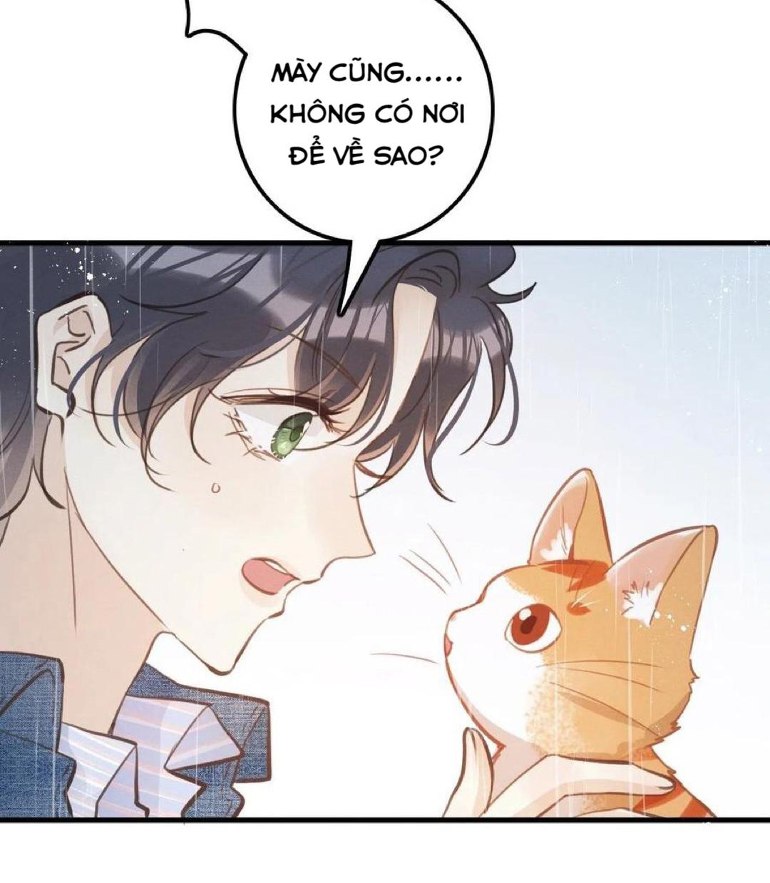 Đọc truyện Lang Sói Thượng Khẩu - Chapter 24