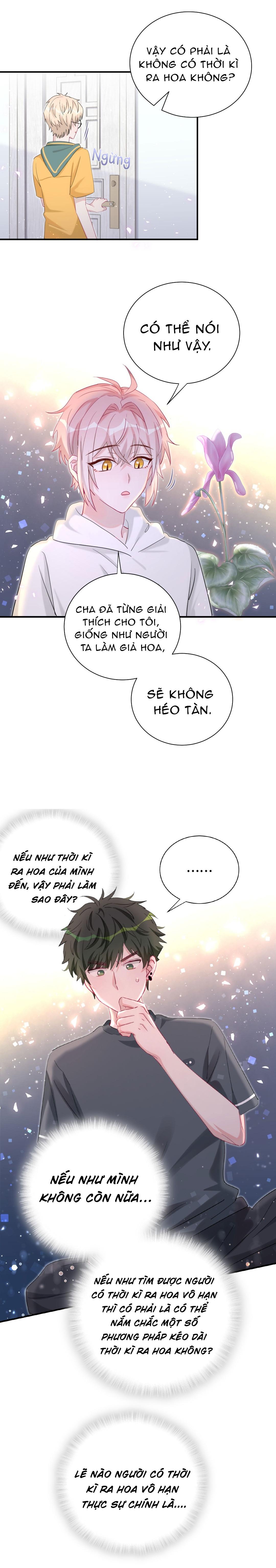 Đọc truyện Đến Gần Cậu, Tớ Sẽ Rụng Gai (END) - Chapter 54