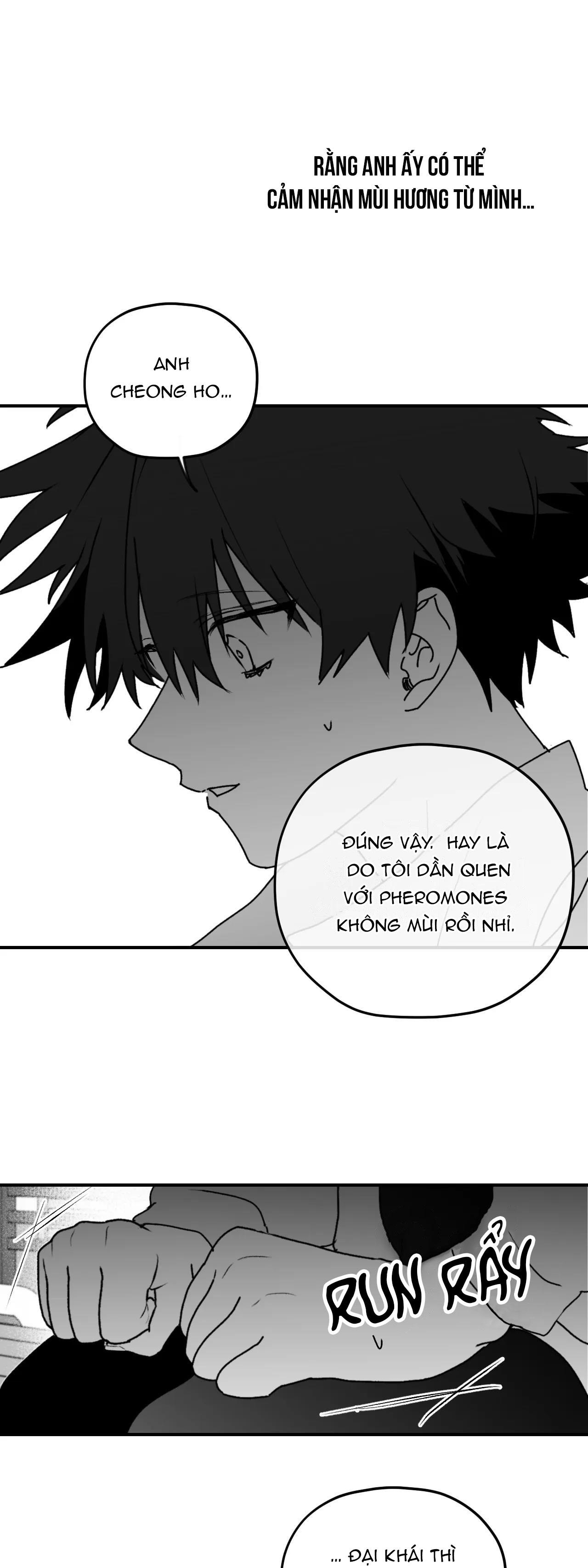Đọc truyện Sóng Tìm Em - Chapter 19