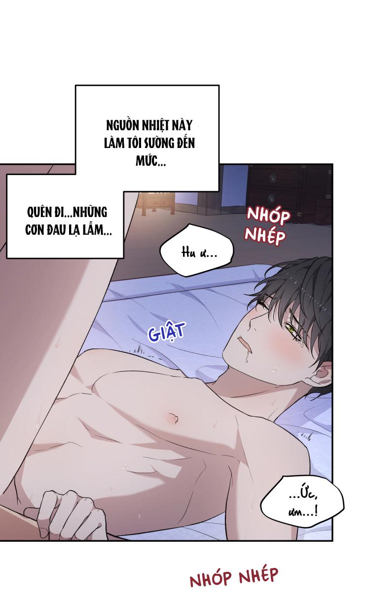 Đọc truyện Hỗn Mộng - Chapter 12