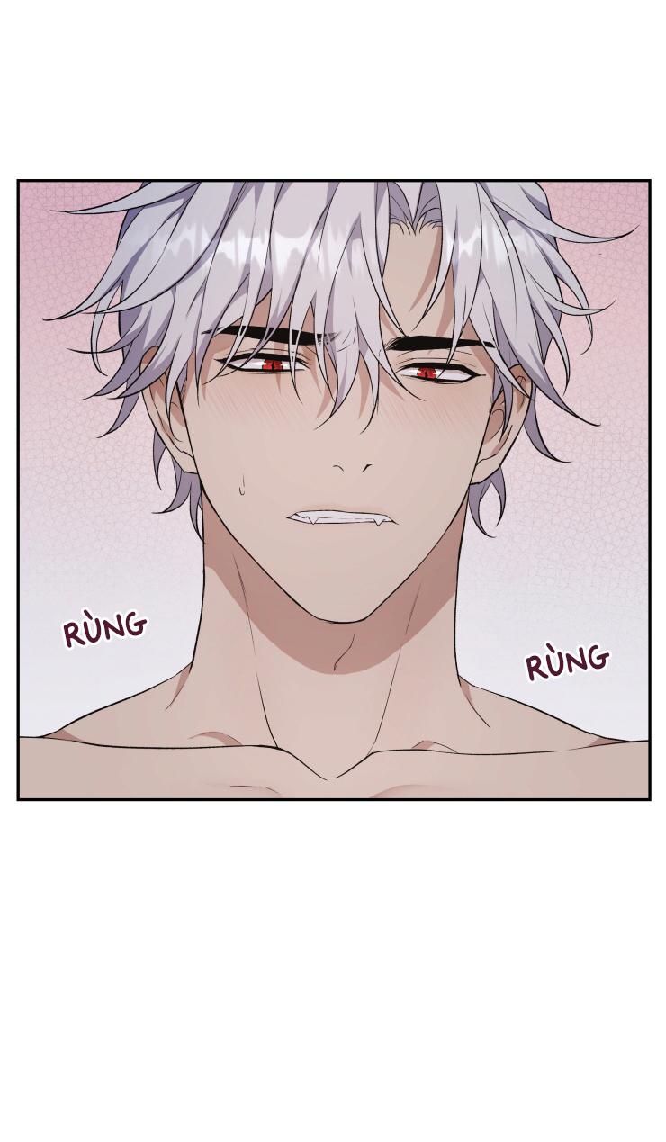 Đọc truyện Hỗn Mộng - Chapter 12