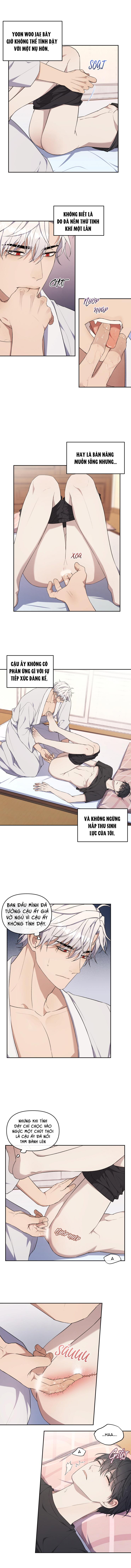 Đọc truyện Hỗn Mộng - Chapter 16