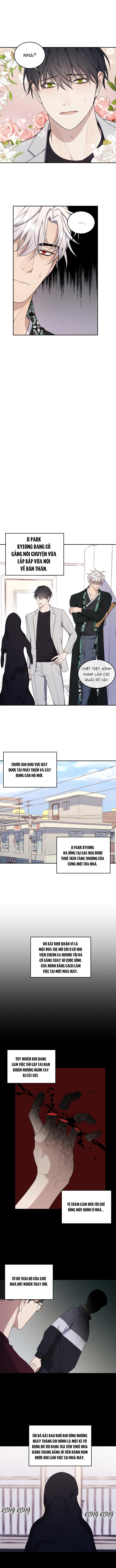 Đọc truyện Hỗn Mộng - Chapter 18