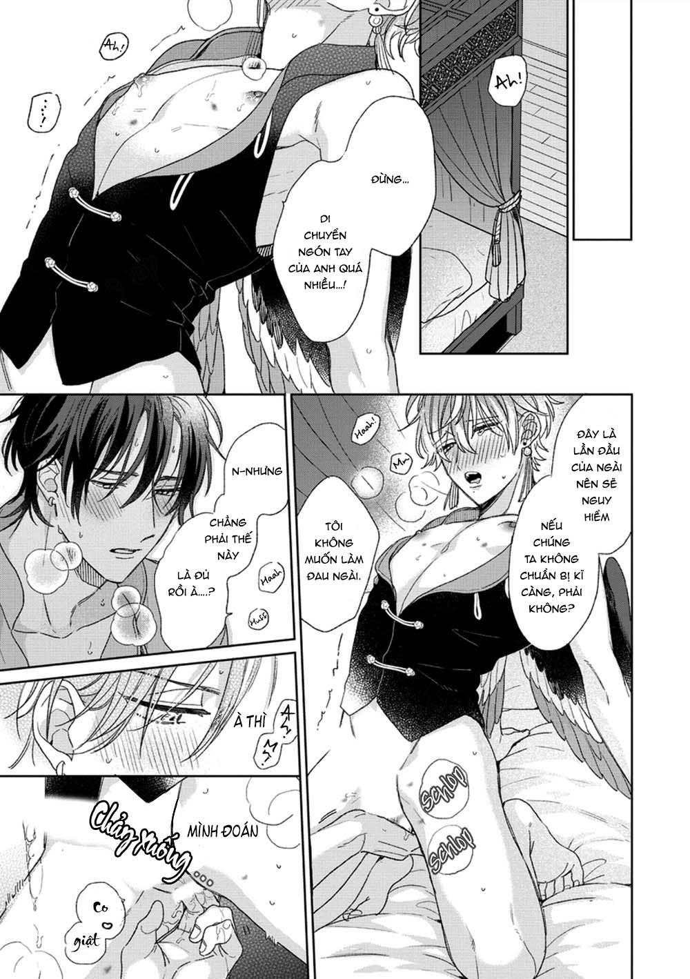 Đọc truyện Ngủ Ngon Chú Chim Nhỏ Của Ta - Chapter 5